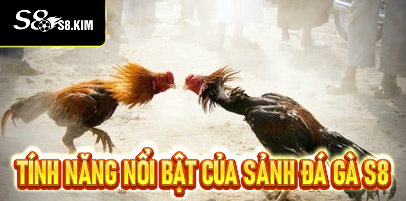 Tính năng nổi bật của sảnh đá gà S8